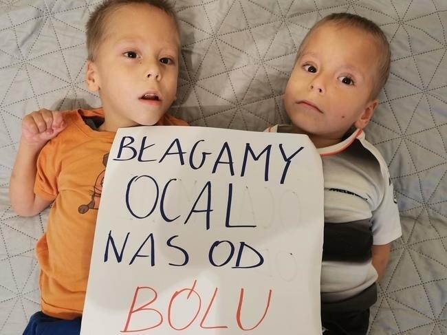 Stefan i Ignacy Gut - zdjęcie główne