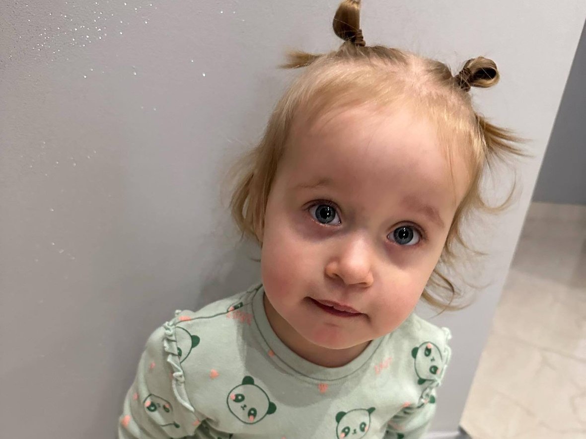 Nikola Zebrala - zdjęcie główne