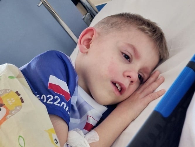 Rafałek Szwajgiel - zdjęcie główne