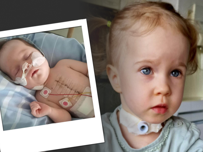 Ola Warelis - main photo