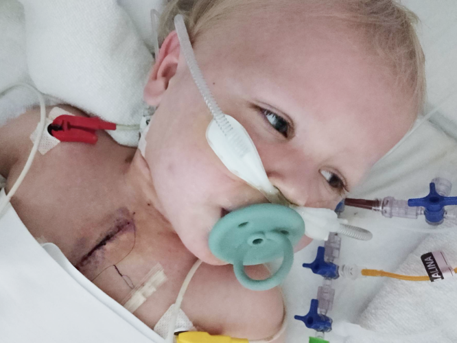 Miłosz Rybicki - zdjęcie główne