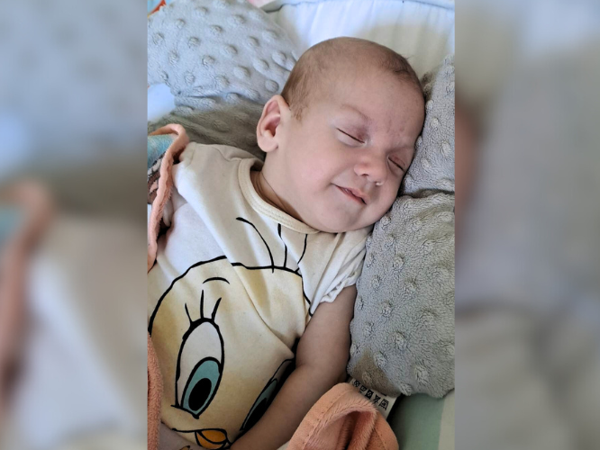 Lara Tolchyna - main photo