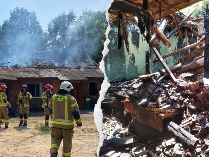 Sylwia Nowak - main photo