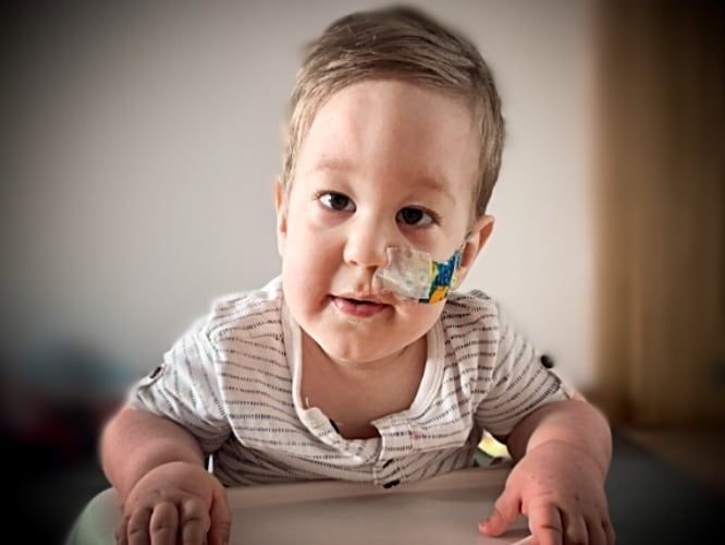 Michał i Róża Lipińscy - zdjęcie główne