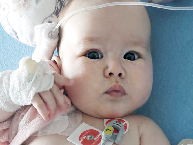 Gaja Janik - zdjęcie główne