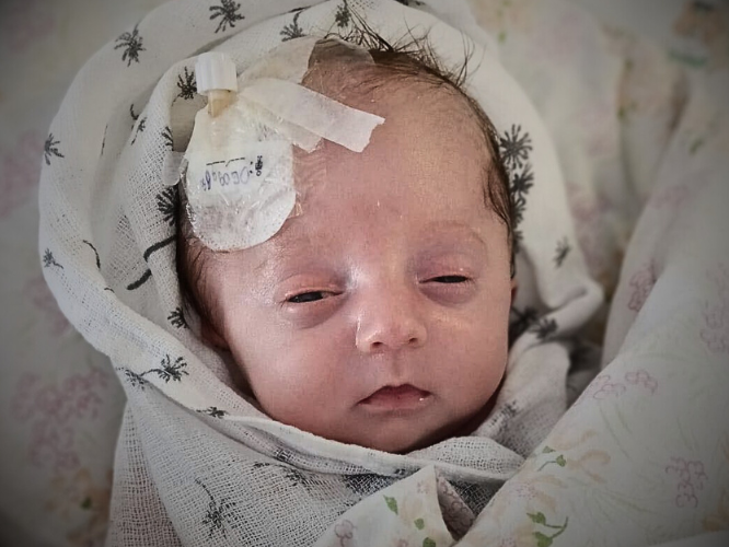 Zuzia Pawliszko - zdjęcie główne