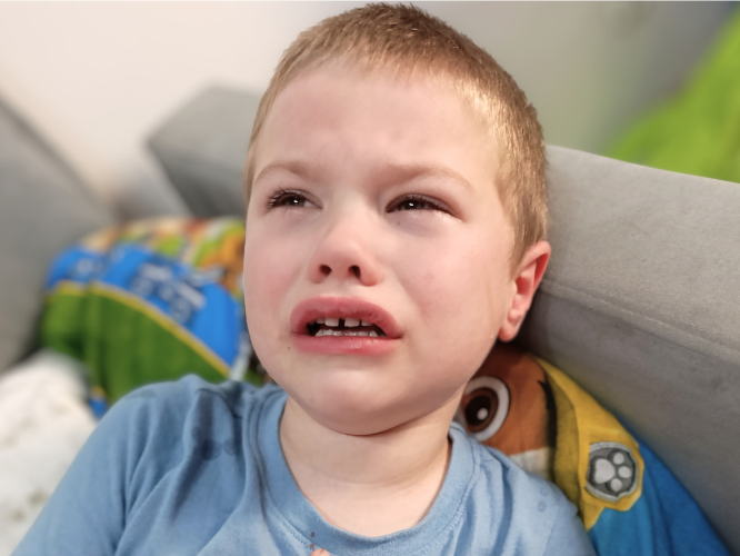 Marcel Zakrzewski - main photo