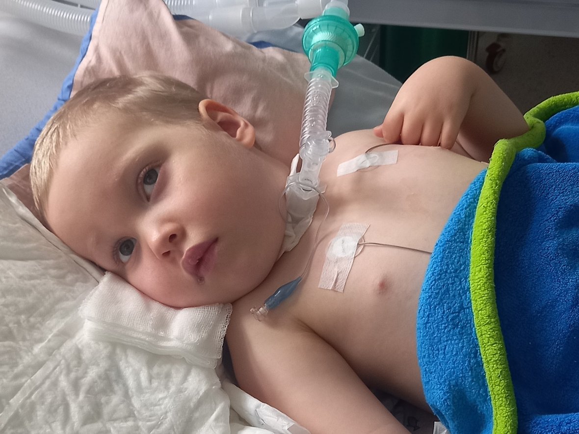 Jaś Sroka - zdjęcie główne