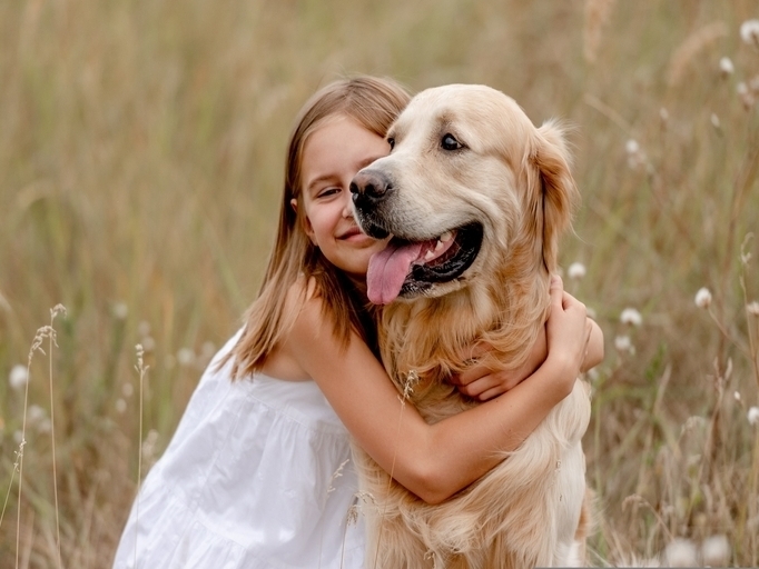 Dogoterapia - pomóż nam w zakupie psa terapeutycznego! - zdjęcie główne