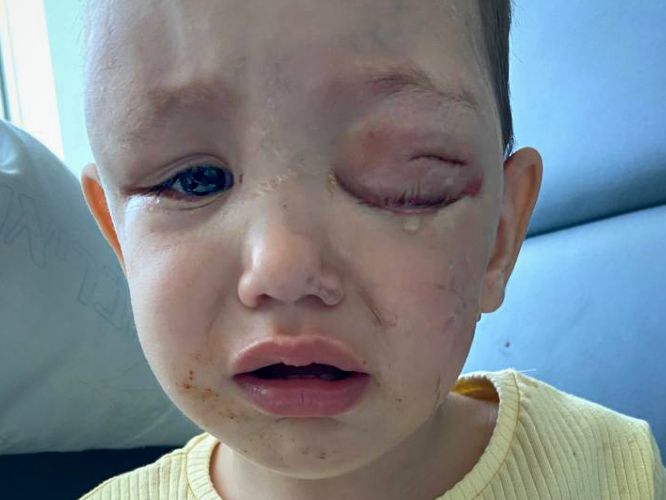 Safina Dżamalowa - zdjęcie główne