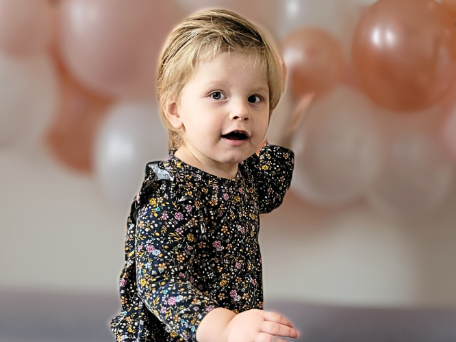 Pola Maleta - zdjęcie główne