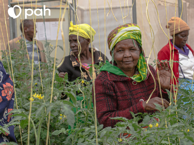 Pomagam: aby wszyscy mieli co jeść - main photo
