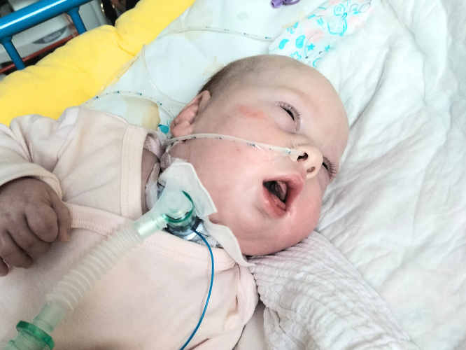 Gabriela Bieszk - zdjęcie główne