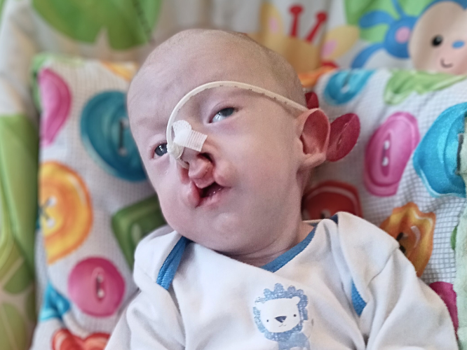 Franuś Kublik - zdjęcie główne