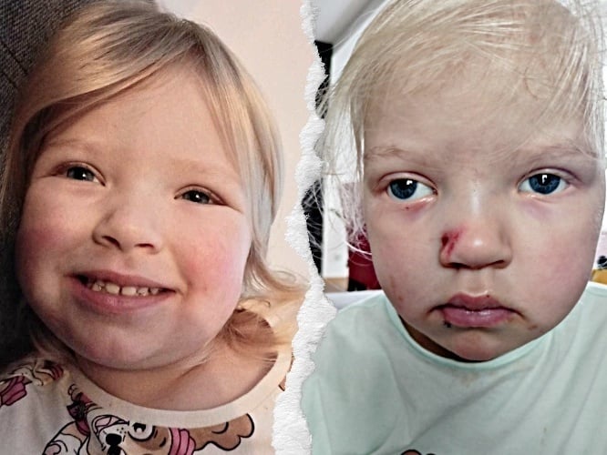 Natalcia Kryger - zdjęcie główne