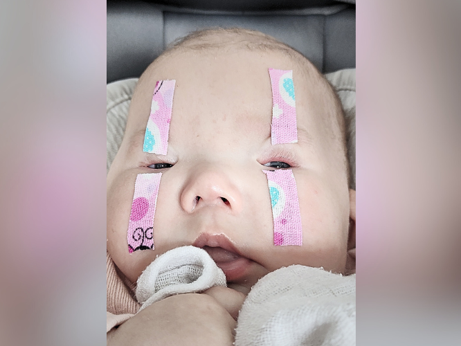 Antosia Kwiatek - zdjęcie główne