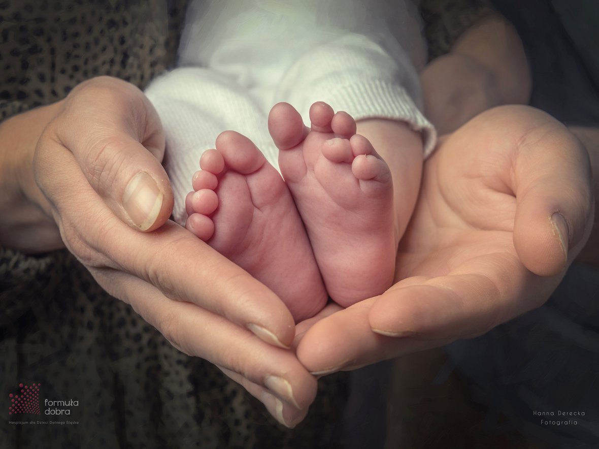 Podaruj nadzieję podopiecznym hospicjum - zdjęcie główne