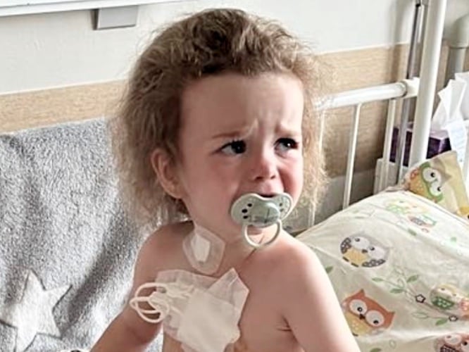 Klara Gałązka - zdjęcie główne