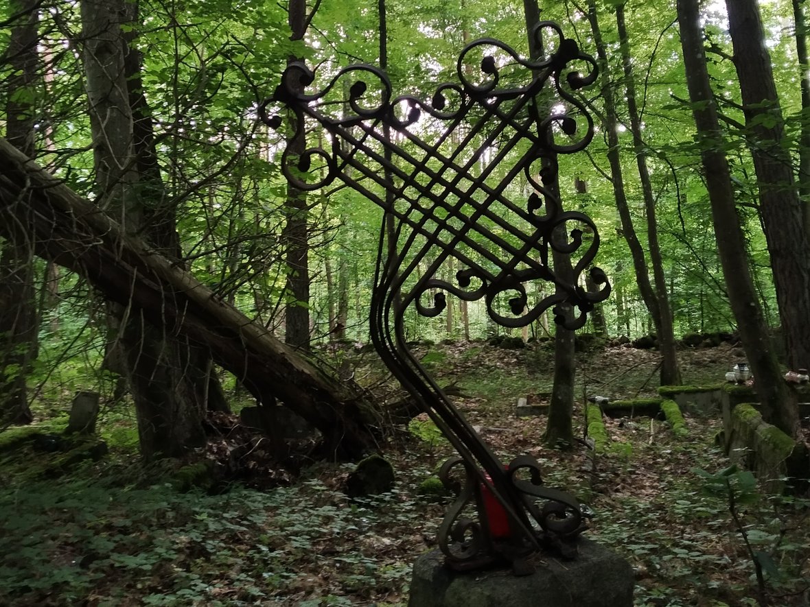 Nie pozwólmy ZARASTAĆ pamięci❗️ - zdjęcie główne