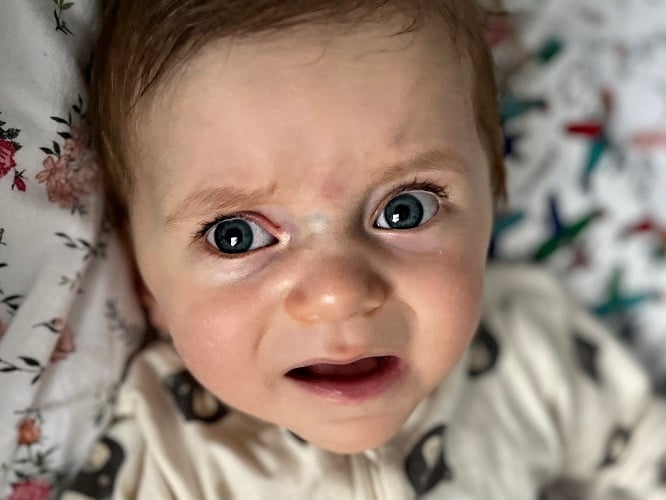 Lucjan Stępniak - zdjęcie główne