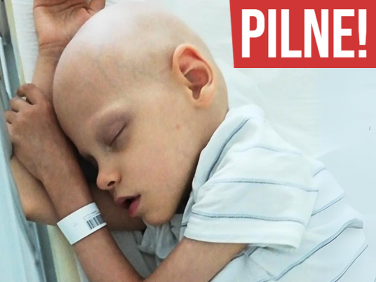 Staś Sztobryn - zdjęcie główne