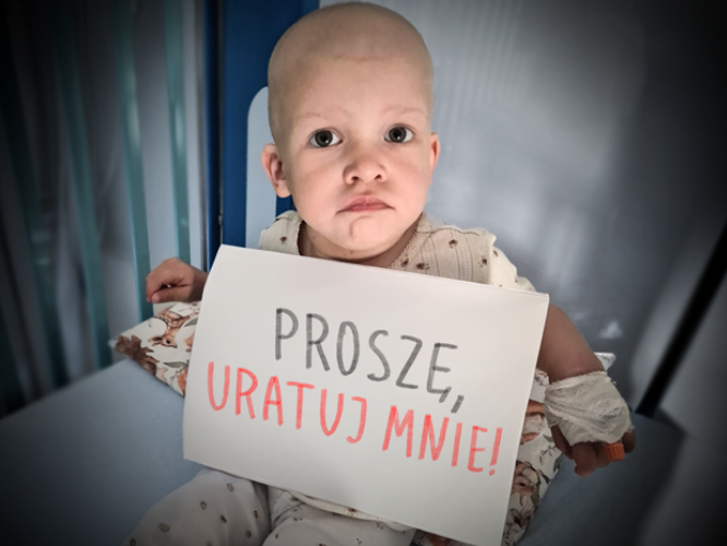 Gaja Chutko - zdjęcie główne