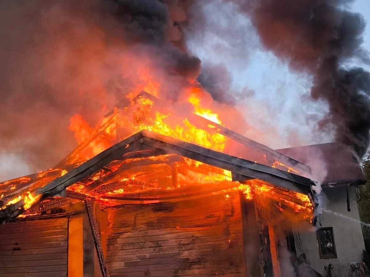 Stracili dach nad głową! Na ratunek Feliksowi i jego Mamie - zdjęcie główne