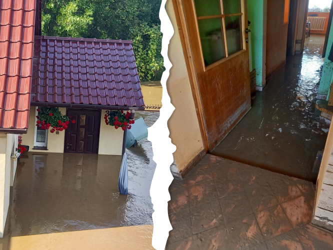 Gabriela Orchowska - zdjęcie główne