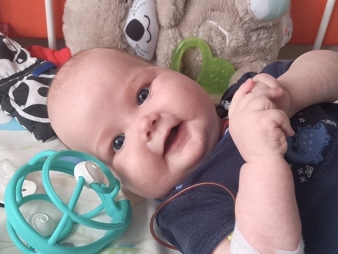 Mikołaj Petrich - main photo