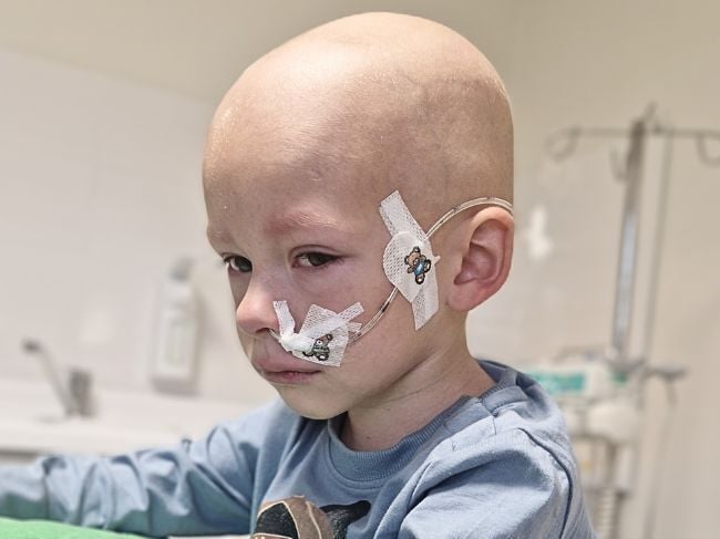 Oliś Garnys - main photo