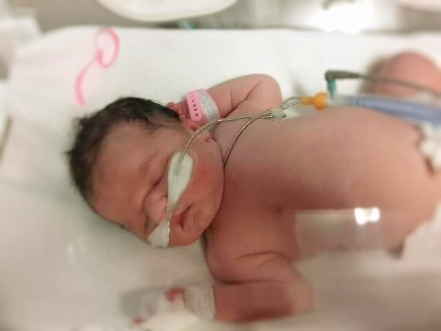 Gabryś Turczyn - zdjęcie główne