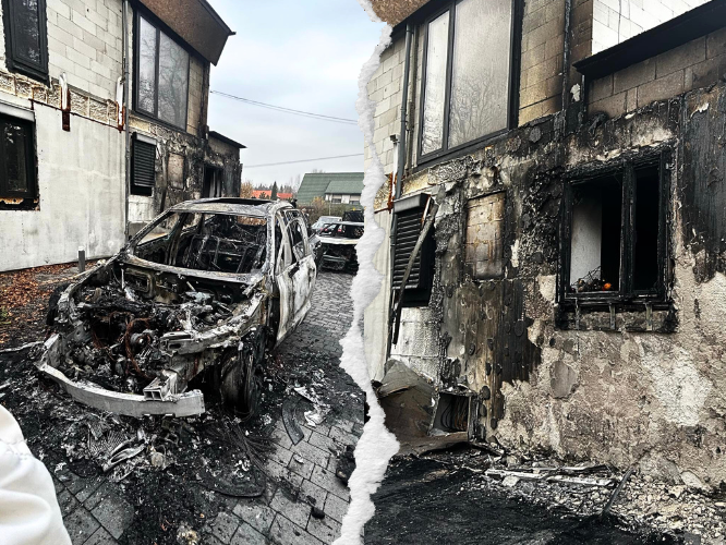 Rodzina Ciorga - zdjęcie główne