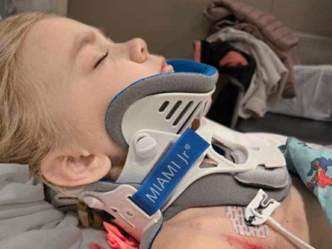 Gulis family - main photo