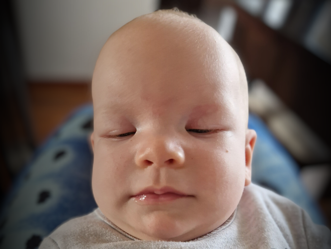 Zosia Pacula - zdjęcie główne