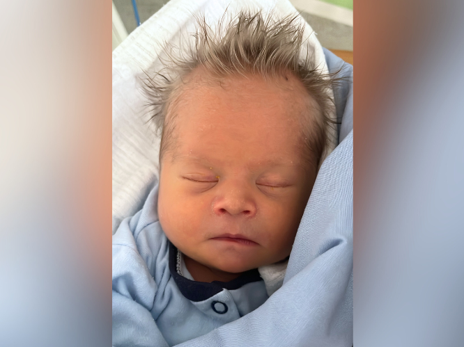 Czesiu Cichy - zdjęcie główne