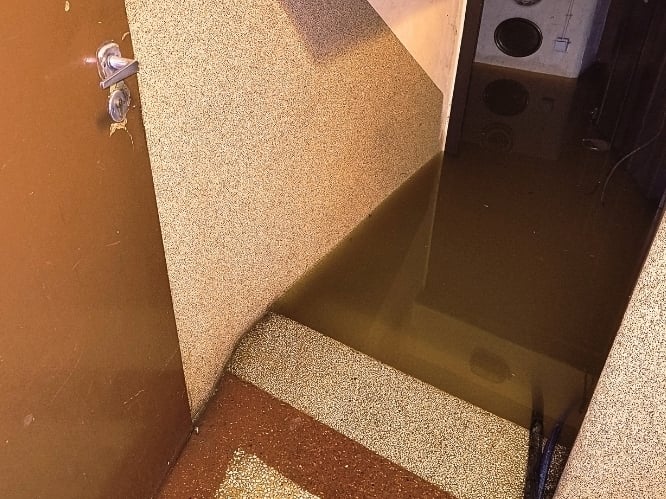 Małgorzata Maroń - zdjęcie główne