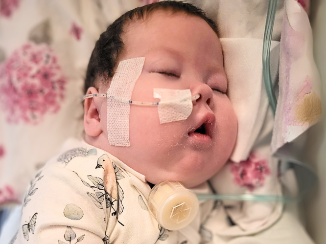 Marlenka Micek - zdjęcie główne