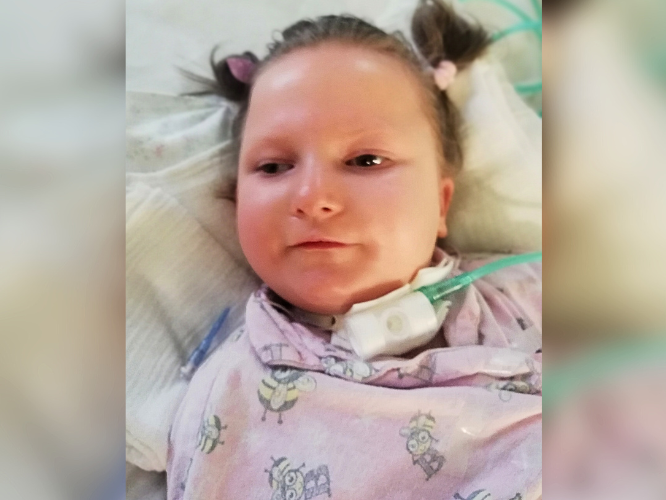 Dominika Żółtko - zdjęcie główne