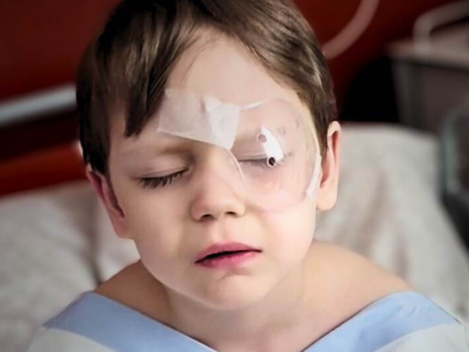 The Game That Changed Everything: How Little Maks Transformed Play into a Battle for Life Maxim Budeev - main photo