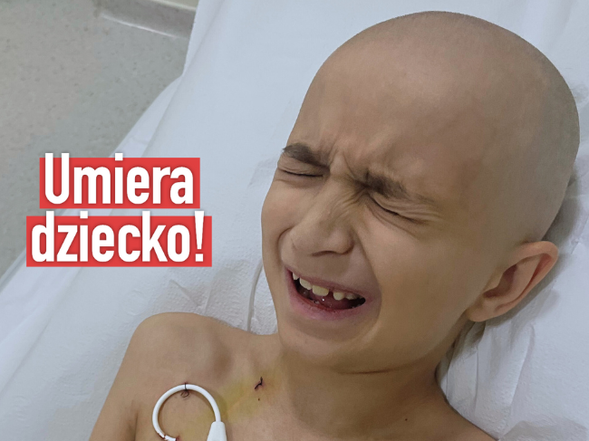 Maxim Capacli - main photo