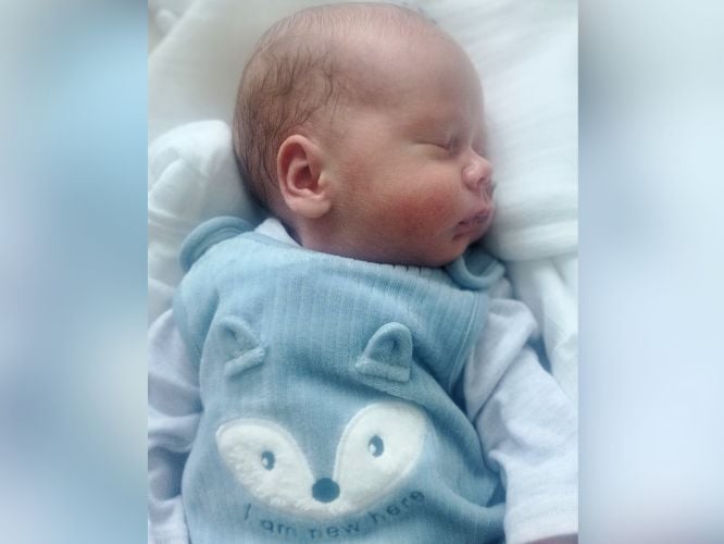 Błażejek Sekuła - main photo