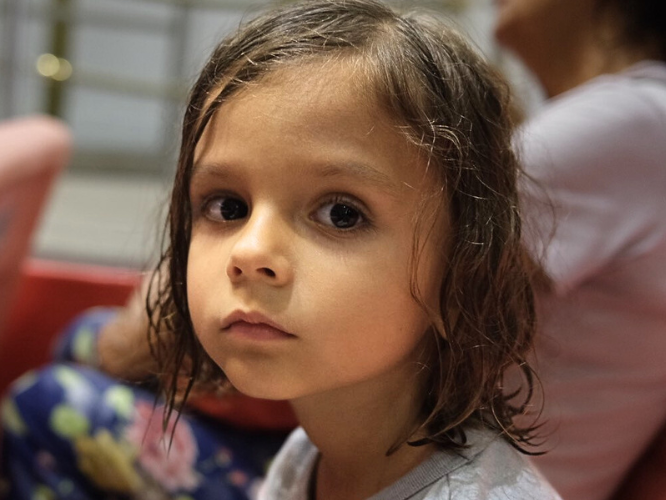 Bruno Krebok - main photo