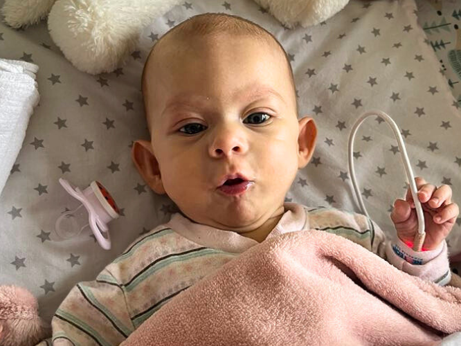 Maja Nowakowska - zdjęcie główne