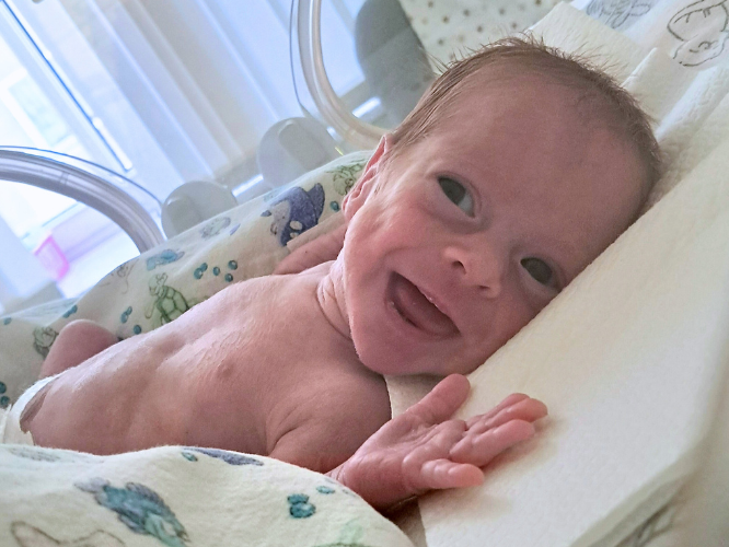 Wiki Fuczyło - zdjęcie główne