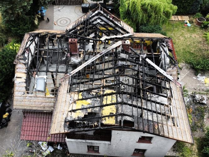 Jolanta Cebula - main photo