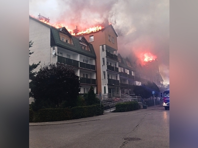 Anna Korenkiewicz - zdjęcie główne