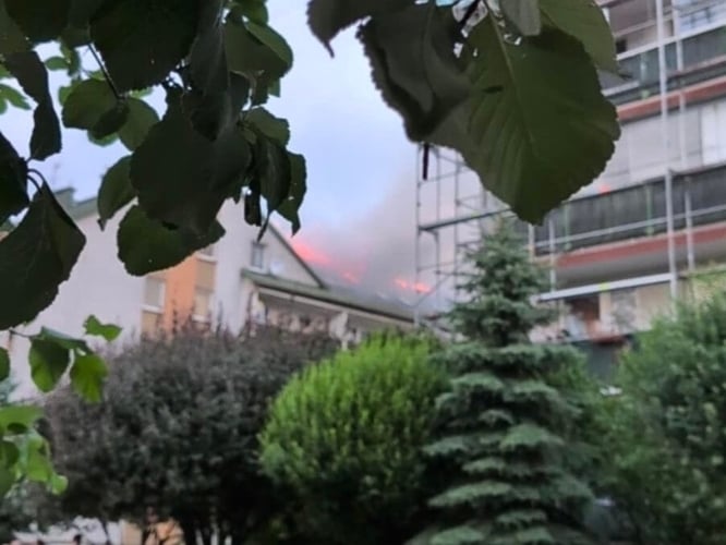 Anna Szyfman - zdjęcie główne