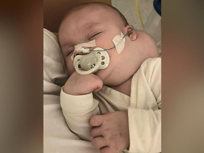 Wojtuś Jaworski - main photo