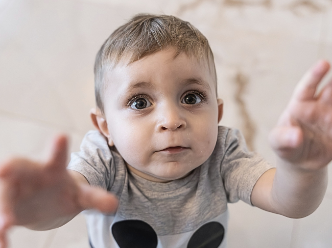 Dominik Granecki - zdjęcie główne