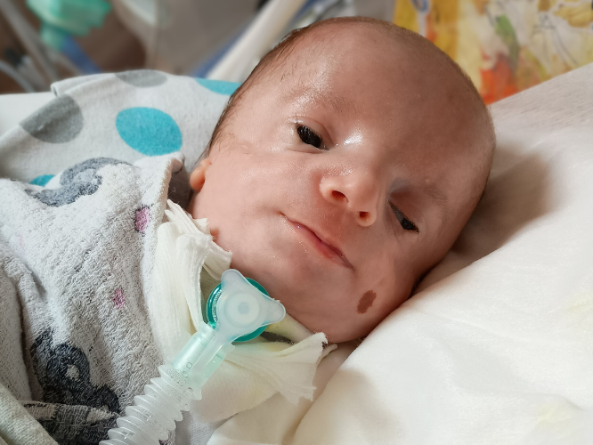 Wojtuś Kuśnierek - zdjęcie główne